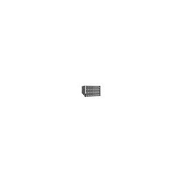 Remote access server