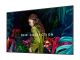 75IN COMMERCIAL 4K UHDLED LCD DISPLAY (NO WI-FI)