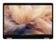 Dell Pro 13 Plus PB13250