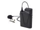 Panasonic WX-ST400 - Microphone