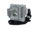 Advanced Lamps MC.JG511.001 Lamp & Housing for Acer Projectors - Fits E131D, H5370BD, S1273Hn, X1270, MC.JF711.001, MC.JG511.001 & More - 1 Unit Per Pack - 90-Day Warranty - Newegg.com