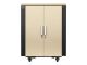 NETSHELTER CX 18U SECURE SOUNDPROOF SERV.