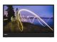 Lenovo ThinkVision M15