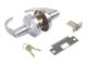 DOOR LOCK ASSY