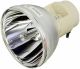 AWO Original P-VIP230W Lamp Bulb for RLC-049 / 5J.JED05.001 / EC.K1700.001 for VIEWSONIC PJD6241