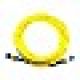 Cisco trunk cable - 20 m - CB-M12-M12-SMF20M= - Fiber Optic Cables - CDW.com