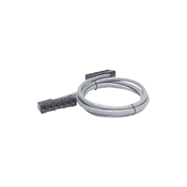 APC - Network cable - TAA Compliant