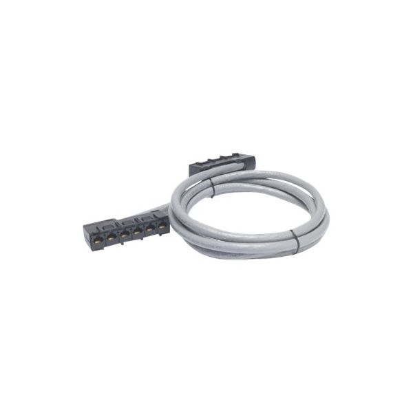 APC - Network cable - TAA Compliant