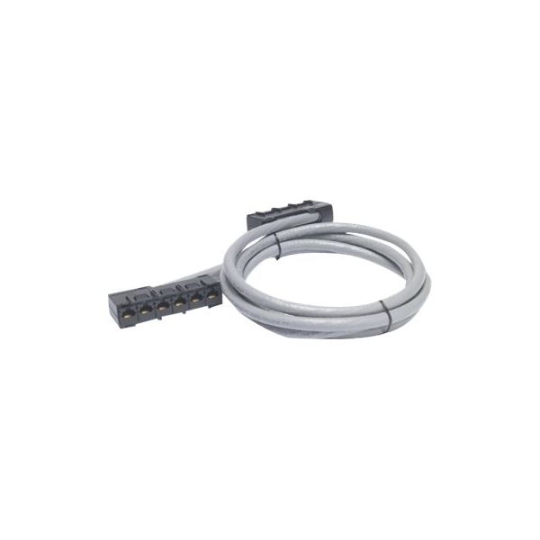 APC - Network cable - TAA Compliant