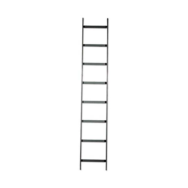 HLS1012G NextFrame Steel Straight Section Ladder Rack