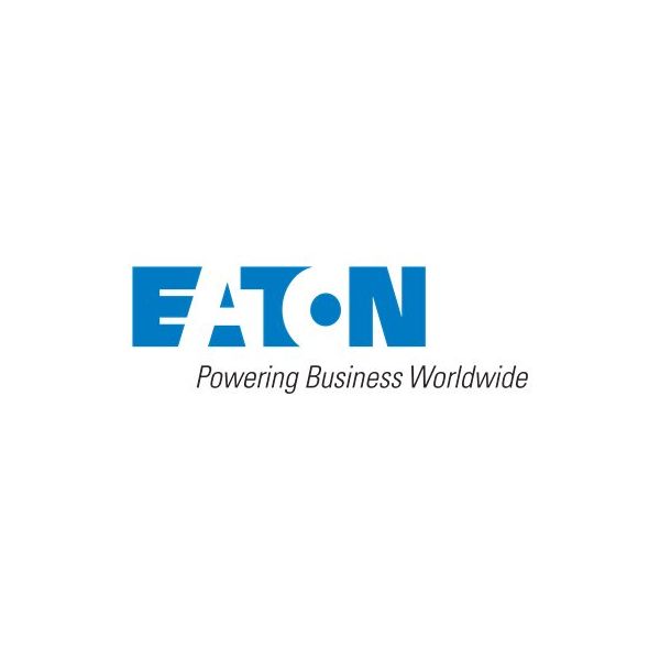 Eaton Scheduled Assembly and Startup Service
