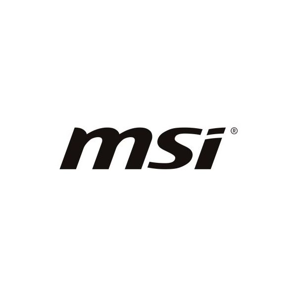 MSI - Power adapter - 230 Watt