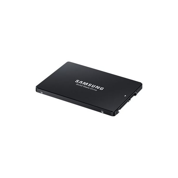 Lenovo PM863a Entry - Solid state drive