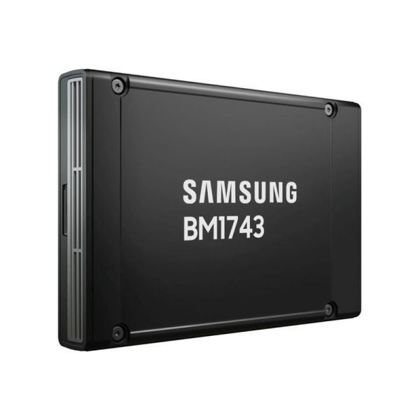 Samsung BM1743 - SSD