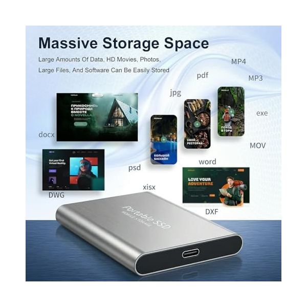 64GB Mobile Phone Intelligent Backup Disk, Universal Android Phone Computer Dual Use Mobile Extender, Large Capacity Storage Expansion for Phone & Computer, Silver