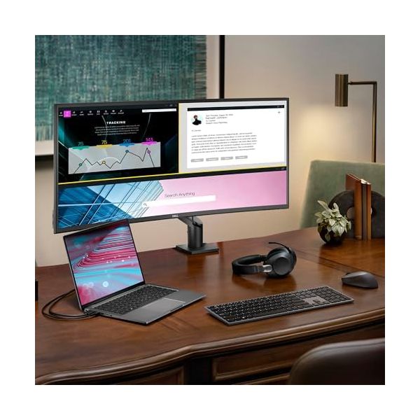 Dell DELL-MSA20 Single Monitor