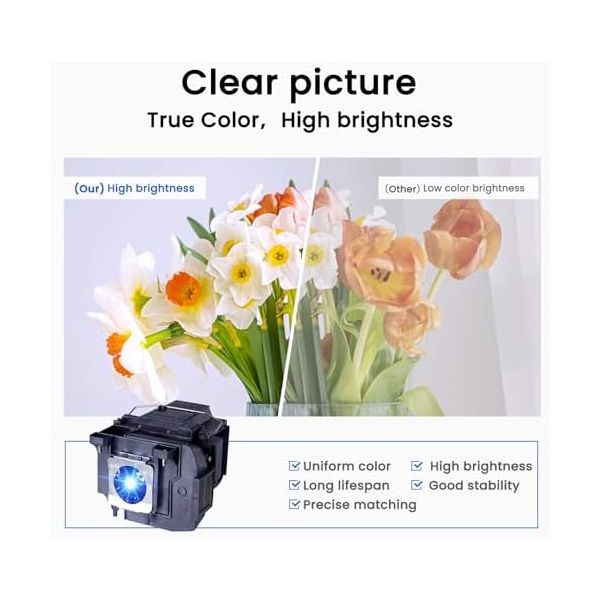 Epson ELPLP85 - Projector lamp