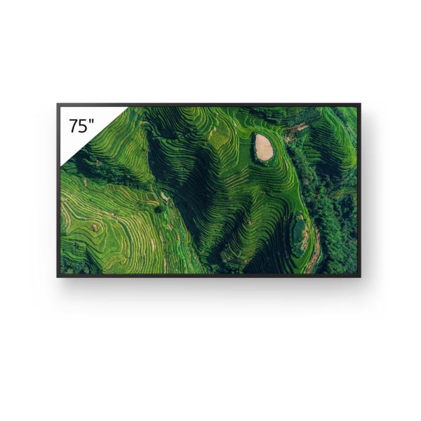 Sony Bravia Professional Displays FW-75BZ35P BZ35P Series - 75" LED-backlit LCD display - 4K - for digital signage - FW75BZ35P