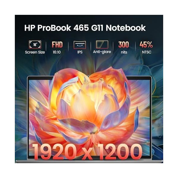 HP ProBook 465 G11 16