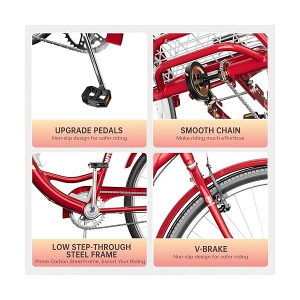 1 Speed Adult Tricycle