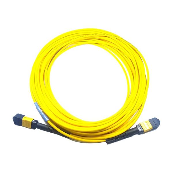 Cisco trunk cable - 25 m - CB-M12-M12-SMF25M=