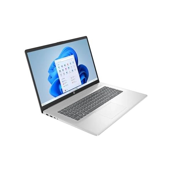 HP Flagship 17 Touchscreen Laptop - 17.3