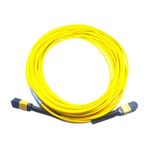 Cisco trunk cable - 20 m - CB-M12-M12-SMF20M=