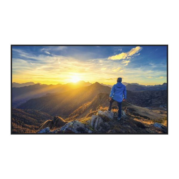 Sharp MultiSync PN-E659 PN-E Series - 65