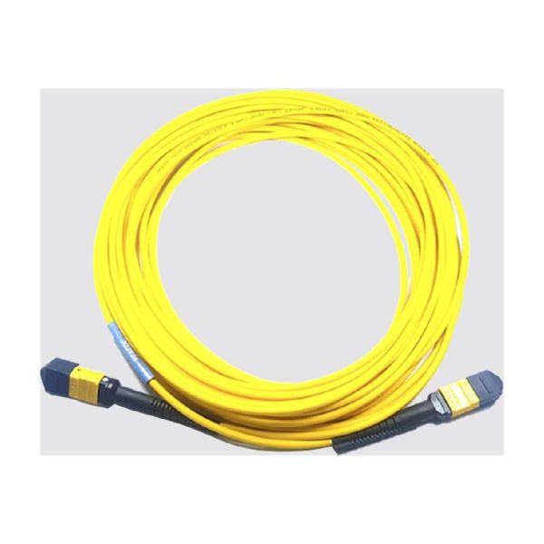 Cisco trunk cable - 30 m - CB-M12-M12-SMF30M=
