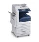 Xerox 301K23491 Scan To Pc Desktop Sb Pro V11 W/5 Seats - 301K23491-