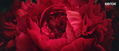 Product image 106R03480