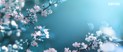 Product image 108R00607